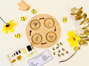 Bee Life Cycle Set: Wooden bee-themed learning set depicting the honeybee’s lifecycle.