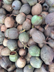 Gumnuts 1kg: Dried eucalyptus gumnuts for sensory play or botanical projects.