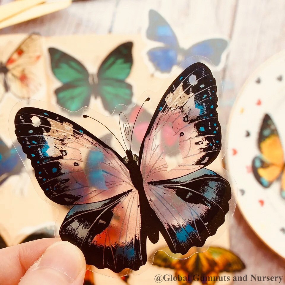 Insects & Bugs