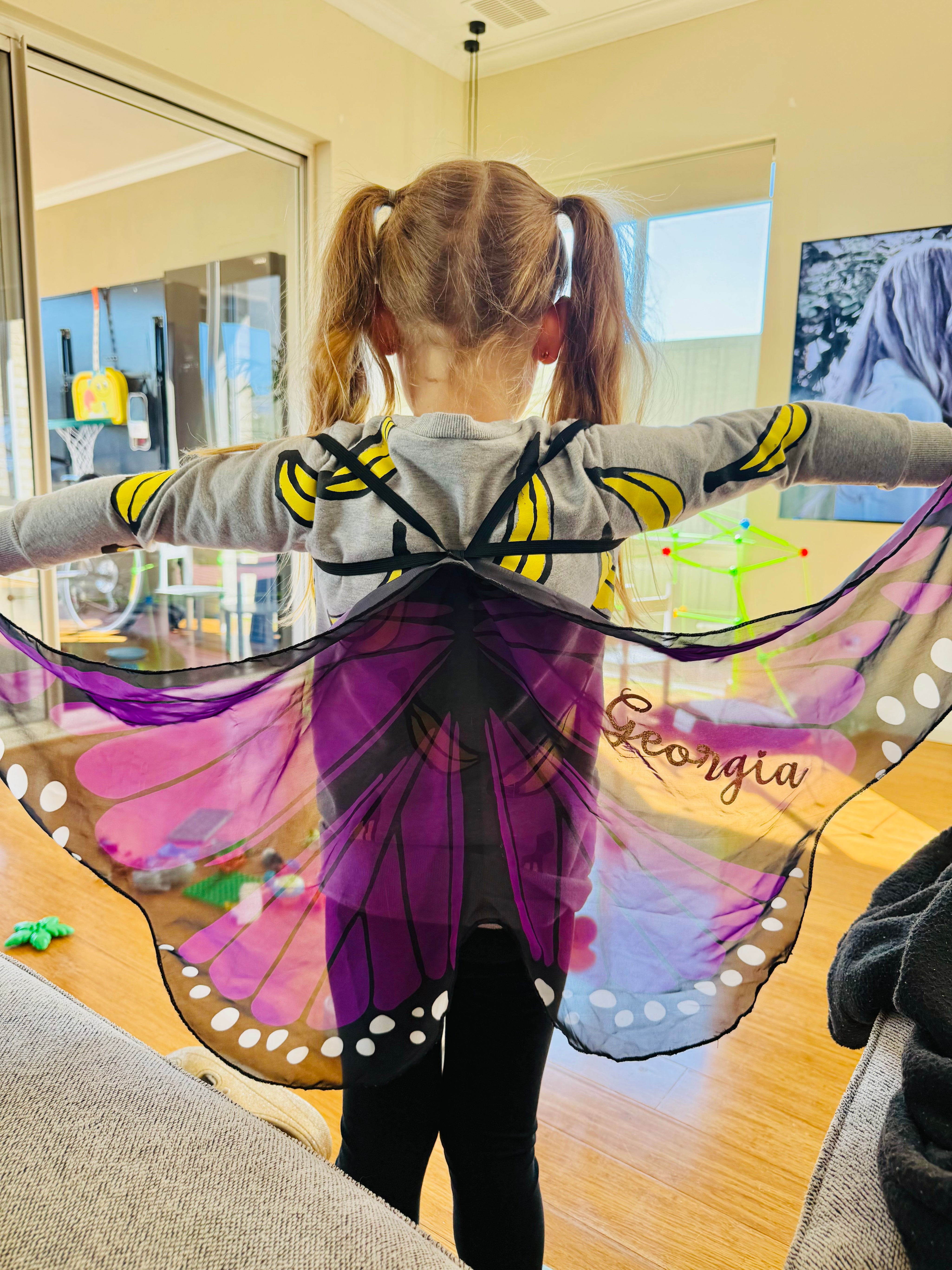 Butterfly Wings for Kids