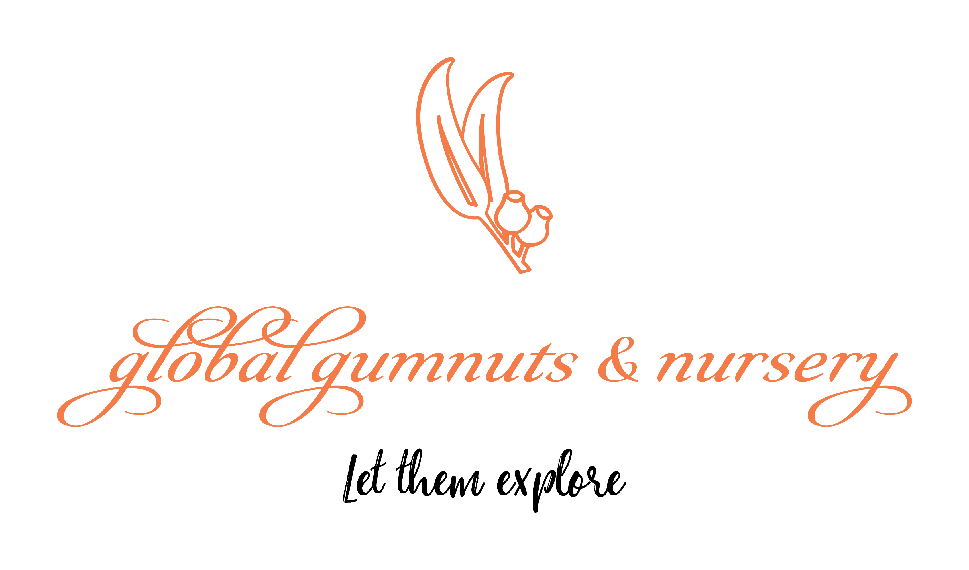 IMG_2584.png