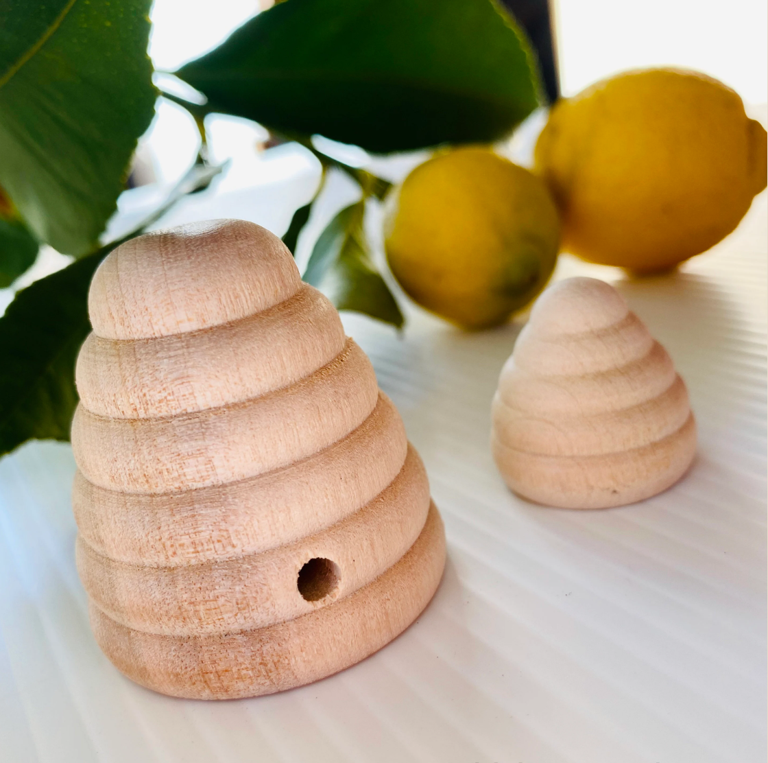Mini Wooden Beehive (Large)