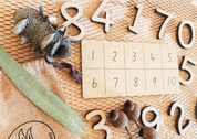 Tableau TENS numéroté en bois