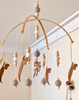 Feuille de gomme australienne pour mobile