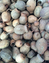 Juegos de Gumnuts de 10, 20 o 30