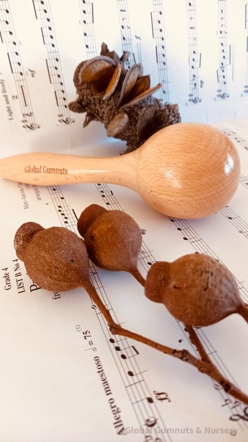 Natural Wooden Maracas (1 Or Set)