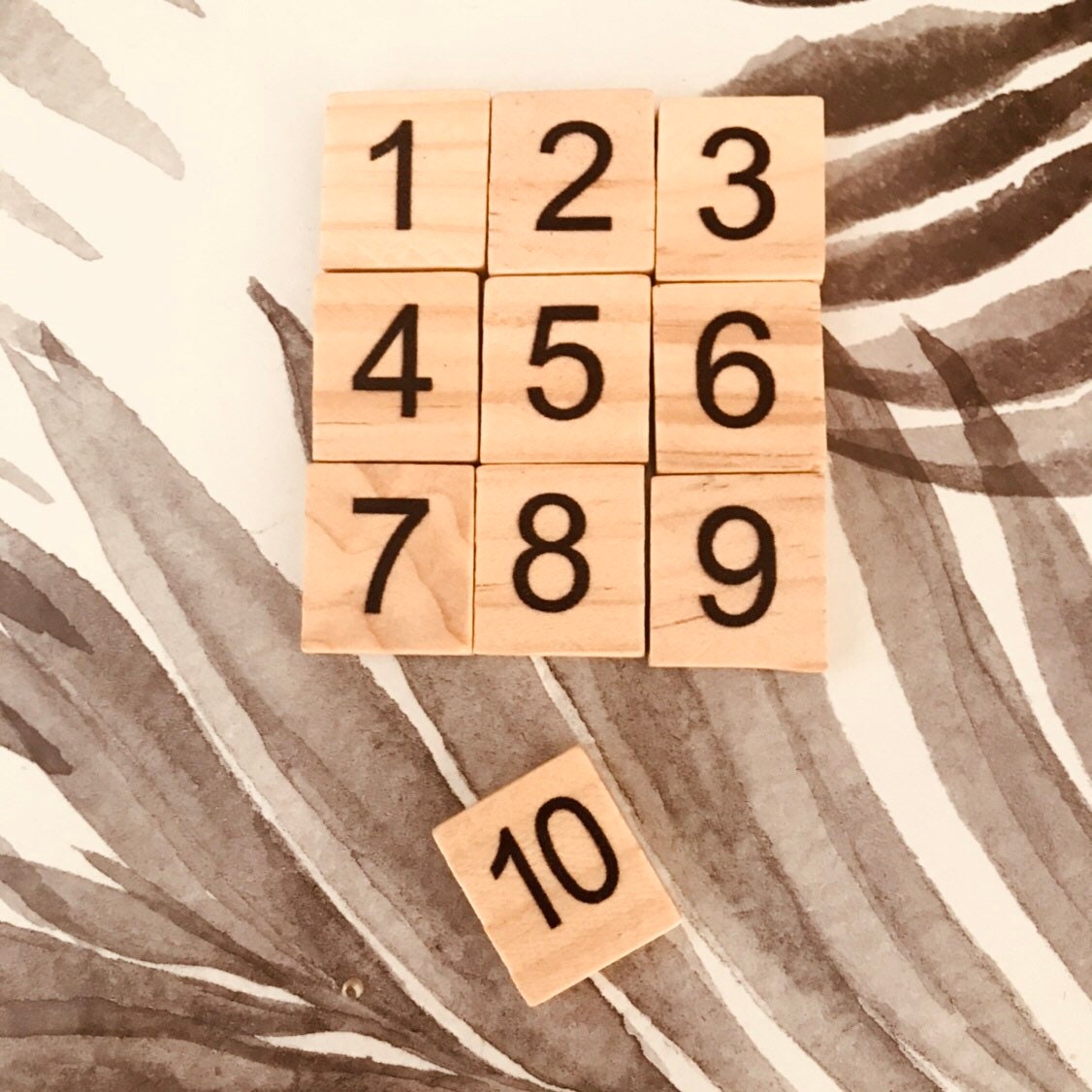 1-10 Wooden Number Tiles: Wooden tiles for number recognition and counting practice.
