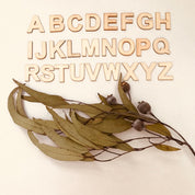 A-Z Wooden Alphabet Set: 26-piece wooden alphabet set for literacy and crafts.