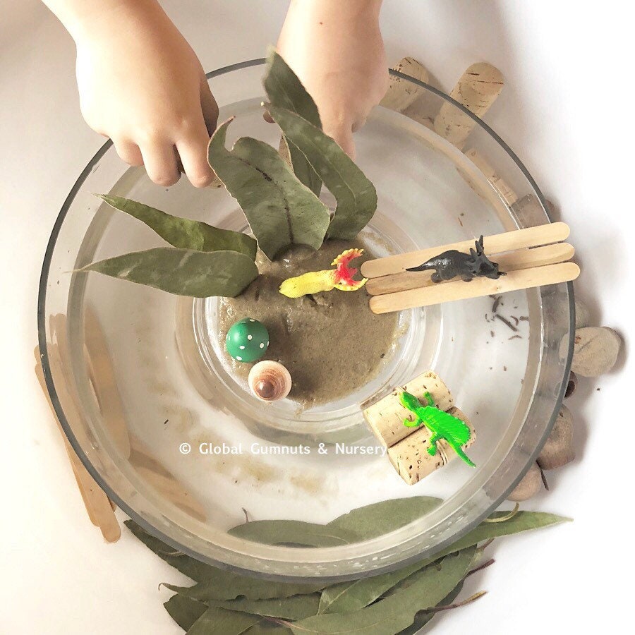 Small Gum leaves: Mini eucalyptus leaves for sensory and decorative use.