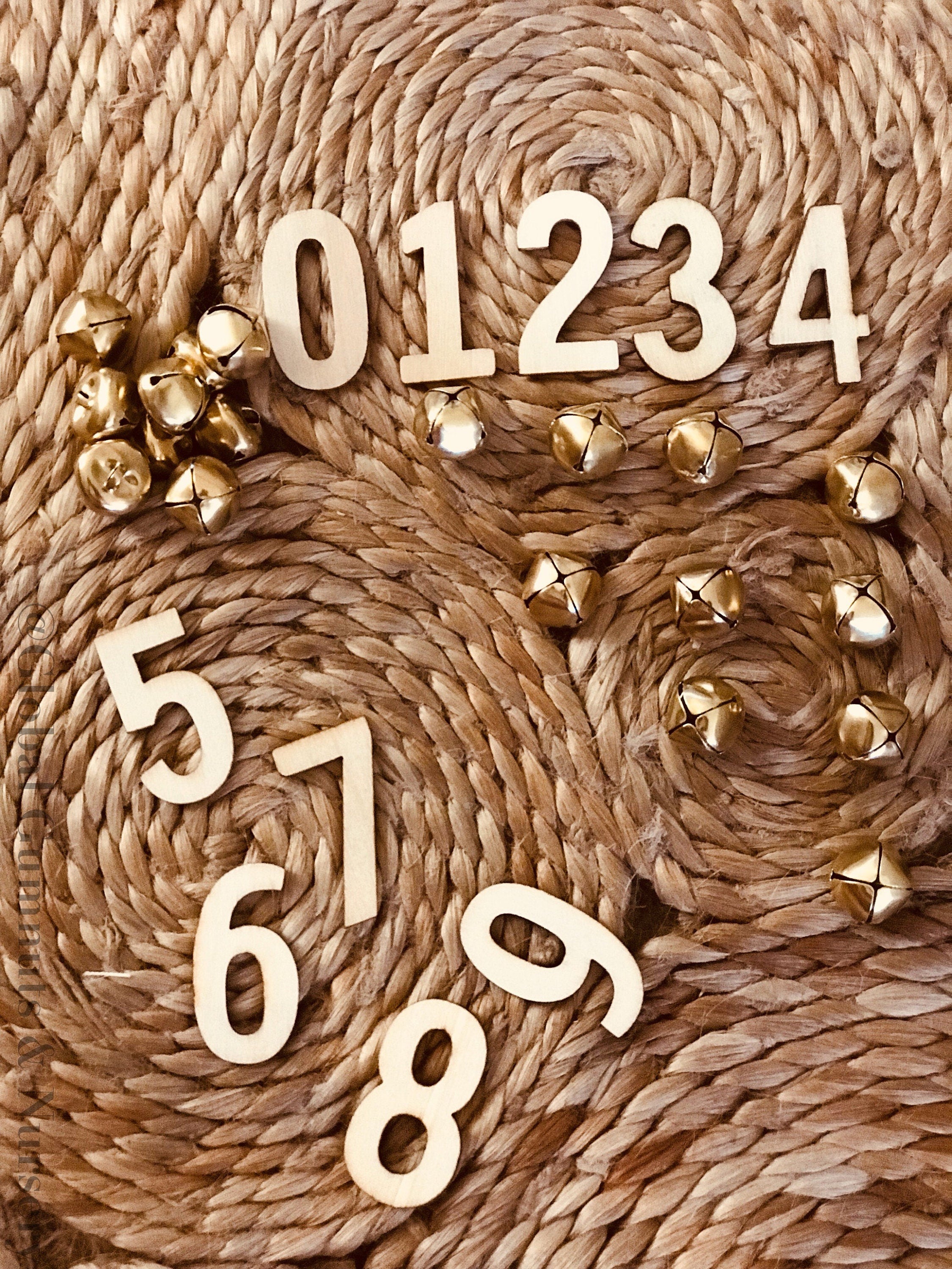 0-9 Wooden Numbers: Set of 10 wooden numbers for learning activities.