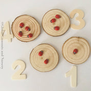 Wooden ladybirds (ladybugs), crafted without stickers for natural play.