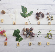 1-10 Wooden Number Tiles: Wooden tiles for number recognition and counting practice.