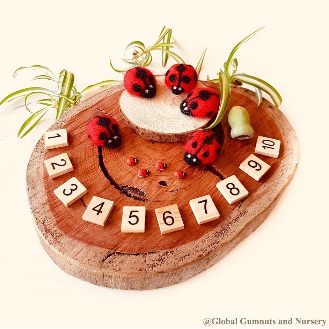 1-10 Wooden Number Tiles: Wooden tiles for number recognition and counting practice.
