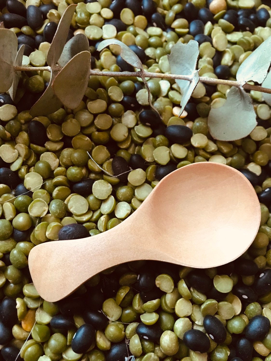 Wooden Teaspoon Scoop: Mini wooden scoop for bath salts, loose parts, or crafts.