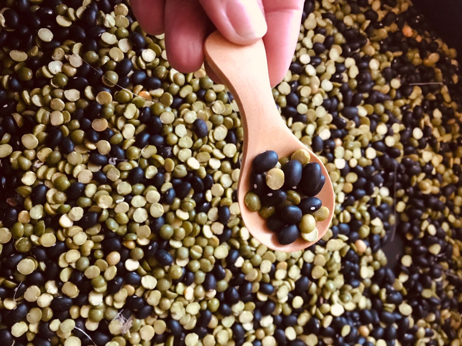 Wooden Teaspoon Scoop: Mini wooden scoop for bath salts, loose parts, or crafts.