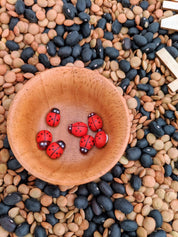 Mariquitas de madera | Mariquitas con pegatina