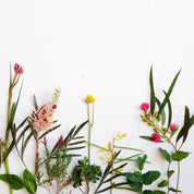 Mariquitas de madera | Mariquitas con pegatina
