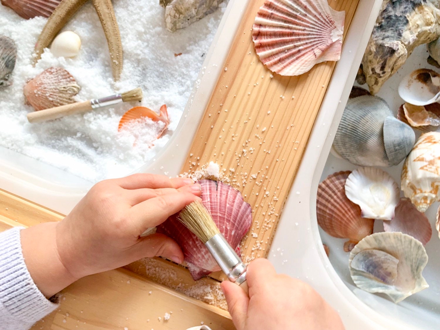 Natural Paint Brushes – Set of 3: Eco-friendly brushes for classroom art projects and crafts.