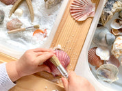 Natural Paint Brushes – Set of 3: Eco-friendly brushes for classroom art projects and crafts.