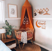 Wooden coat hanger featuring gumnuts and eucalyptus designs, bringing a touch of Australian nature to your closet.