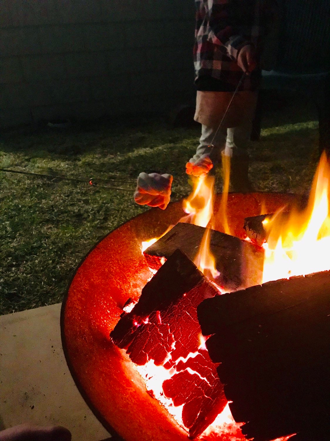 Marshmallow telescopic sticks, ideal for campfire treats or backyard fun.