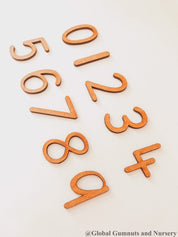 0-9 Wooden Number Set: Ten-piece set of wooden numbers for learning and play.