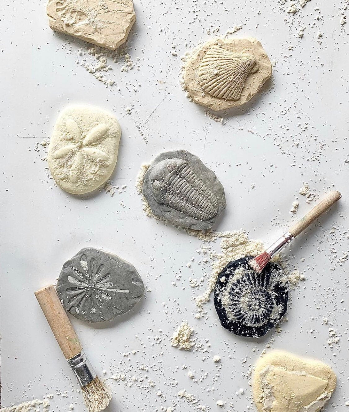 Natural Paint Brushes – Set of 3: Eco-friendly brushes for classroom art projects and crafts.