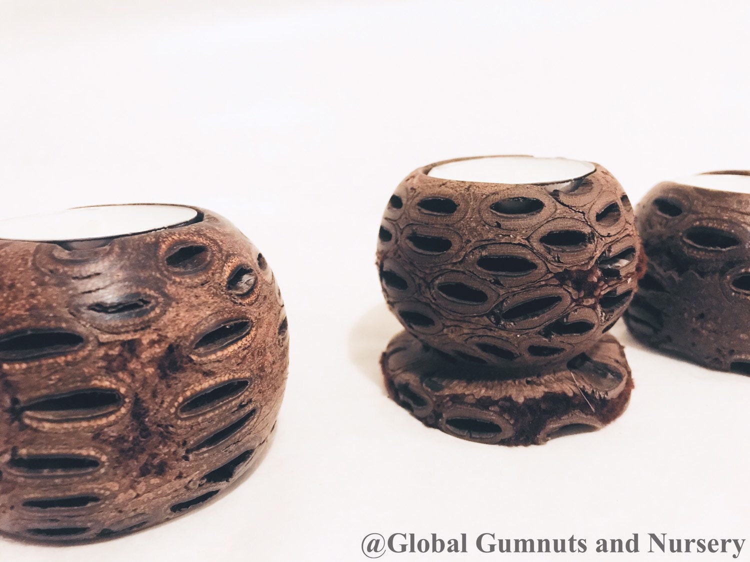 Banksia Tea Light Candle: Candle holder made from a natural Banksia seed pod.