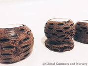 Banksia Tea Light Candle: Candle holder made from a natural Banksia seed pod.