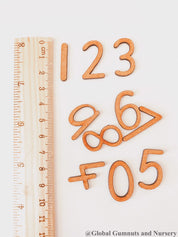 0-9 Wooden Number Set: Ten-piece set of wooden numbers for learning and play.