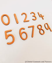 0-9 Wooden Number Set: Ten-piece set of wooden numbers for learning and play.