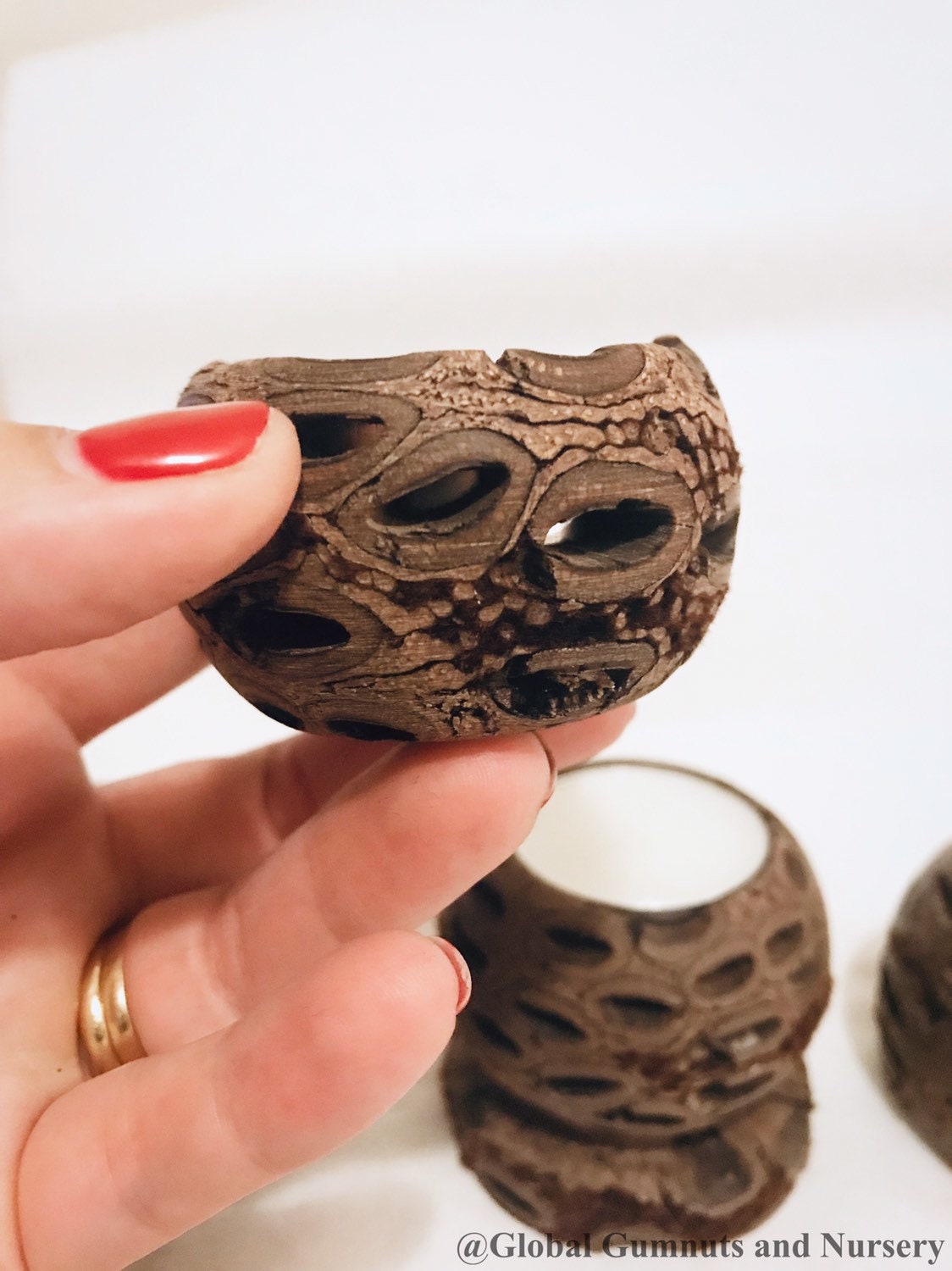 banksia tea light candle: candle holder made from a natural banksia seed pod.