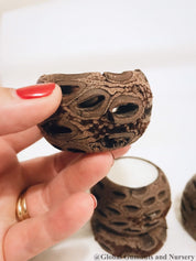 Banksia Tea Light Candle: Candle holder made from a natural Banksia seed pod.