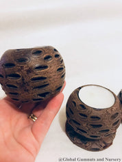 Banksia Tea Light Candle: Candle holder made from a natural Banksia seed pod.