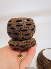 Banksia Tea Light Candle: Candle holder made from a natural Banksia seed pod.