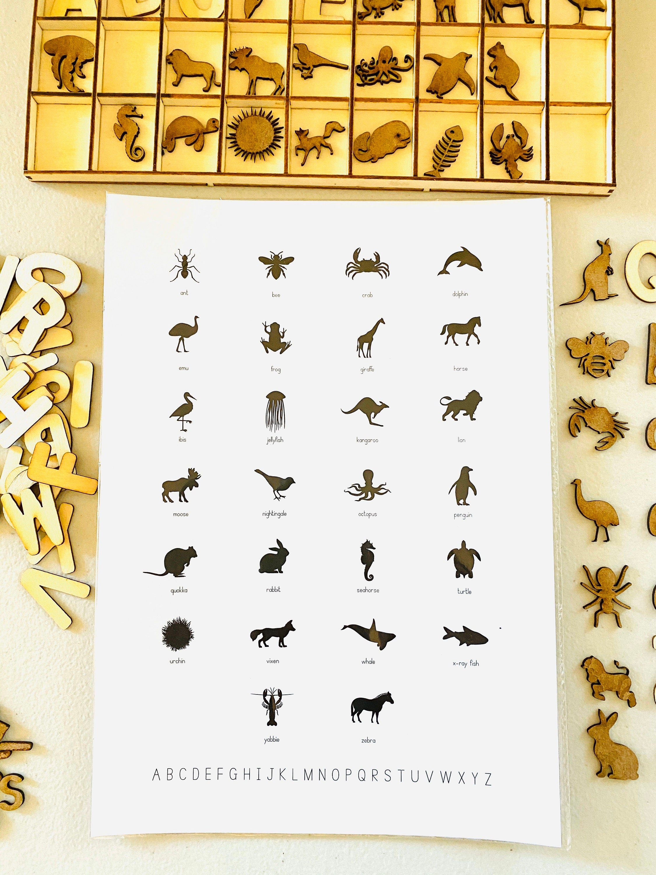 Alphabet and animal name poster, perfect for classrooms, kids' rooms, or educational decor with a playful touch.