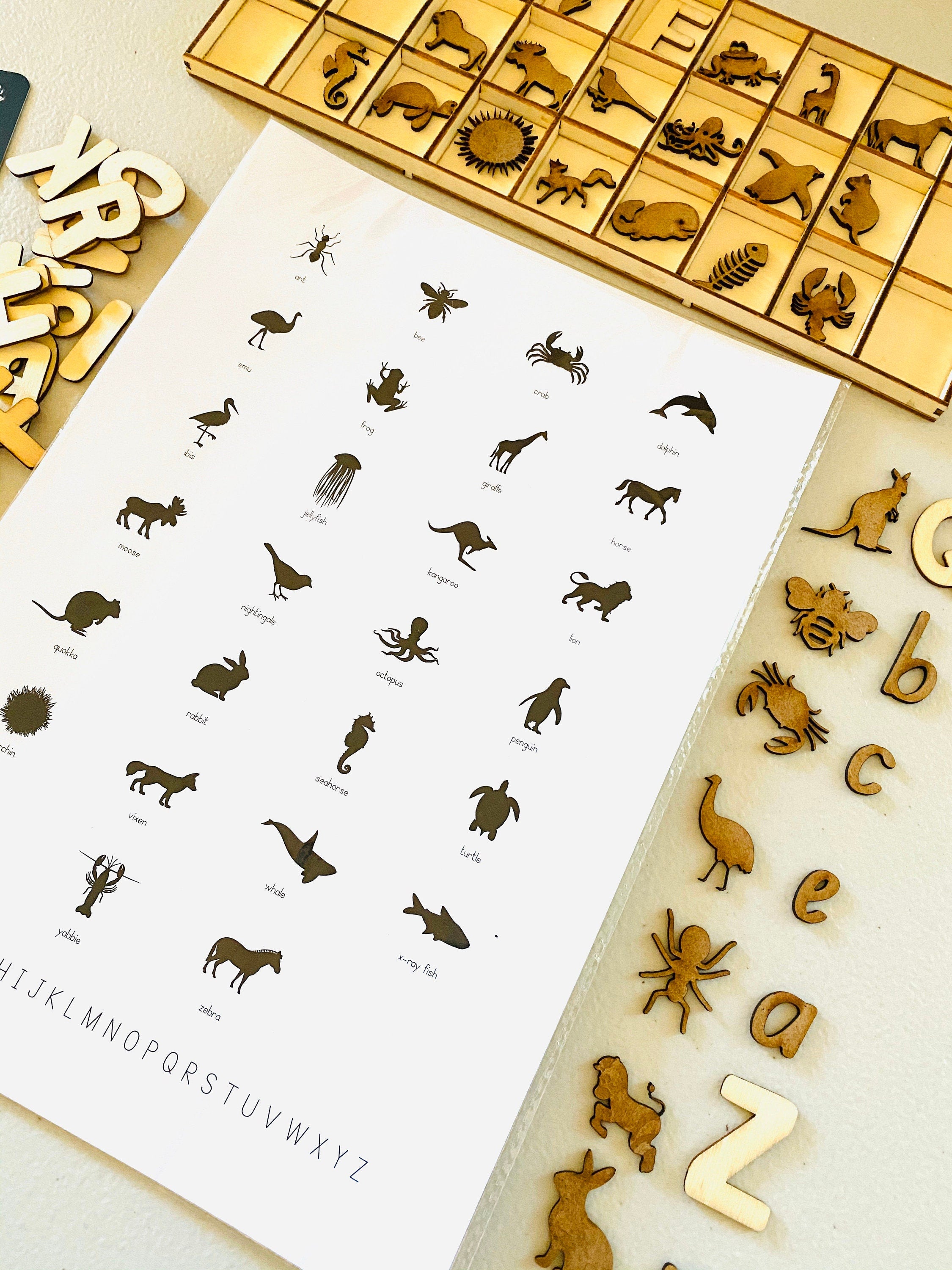 Alphabet and animal name poster, perfect for classrooms, kids' rooms, or educational decor with a playful touch.