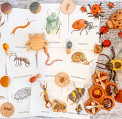 wooden insects set: five-piece set of dragonfly, beetle, and butterfly wooden figures for imaginative play.