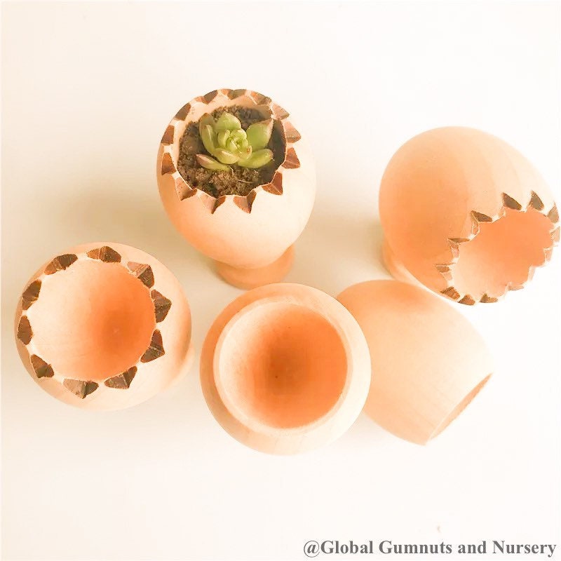 Succulent pot with stand (cracked egg design), a cute Easter gift or decor piece.