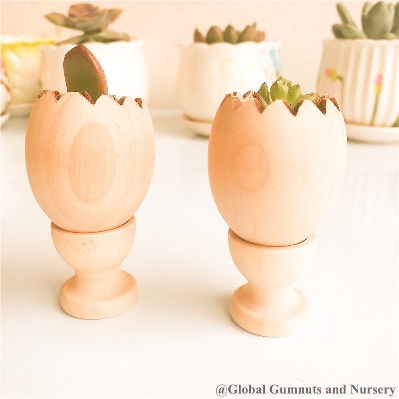 Succulent pot with stand (cracked egg design), a cute Easter gift or decor piece.