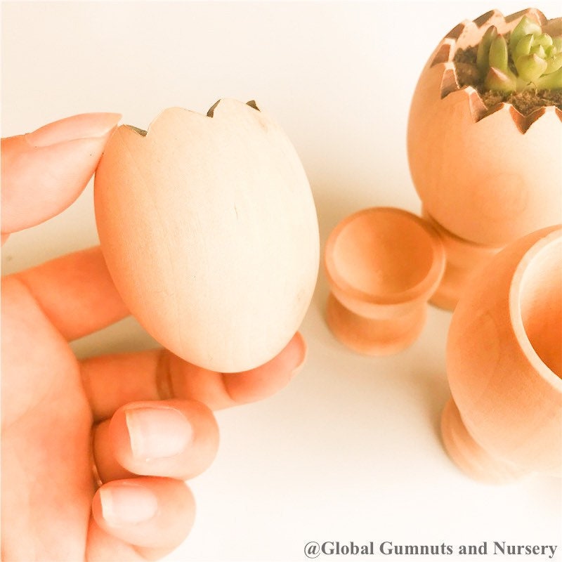 Succulent pot with stand (cracked egg design), a cute Easter gift or decor piece.