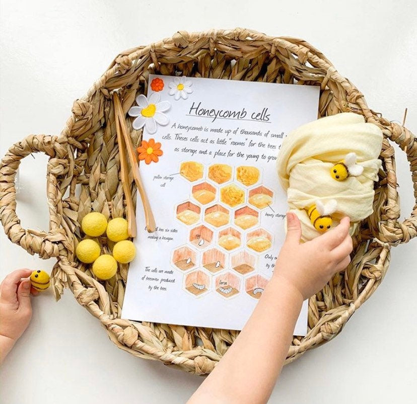 Wooden Toddler Tongs: Curved wooden tongs designed for toddlers' motor skill development.