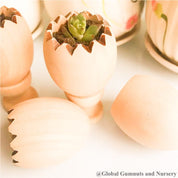 Succulent pot with stand (cracked egg design), a cute Easter gift or decor piece.