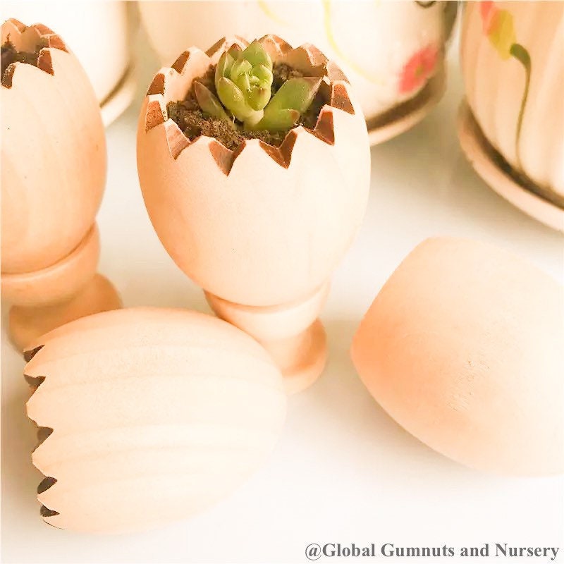 Succulent pot with stand (cracked egg design), a cute Easter gift or decor piece.