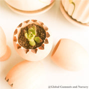 Succulent pot with stand (cracked egg design), a cute Easter gift or decor piece.
