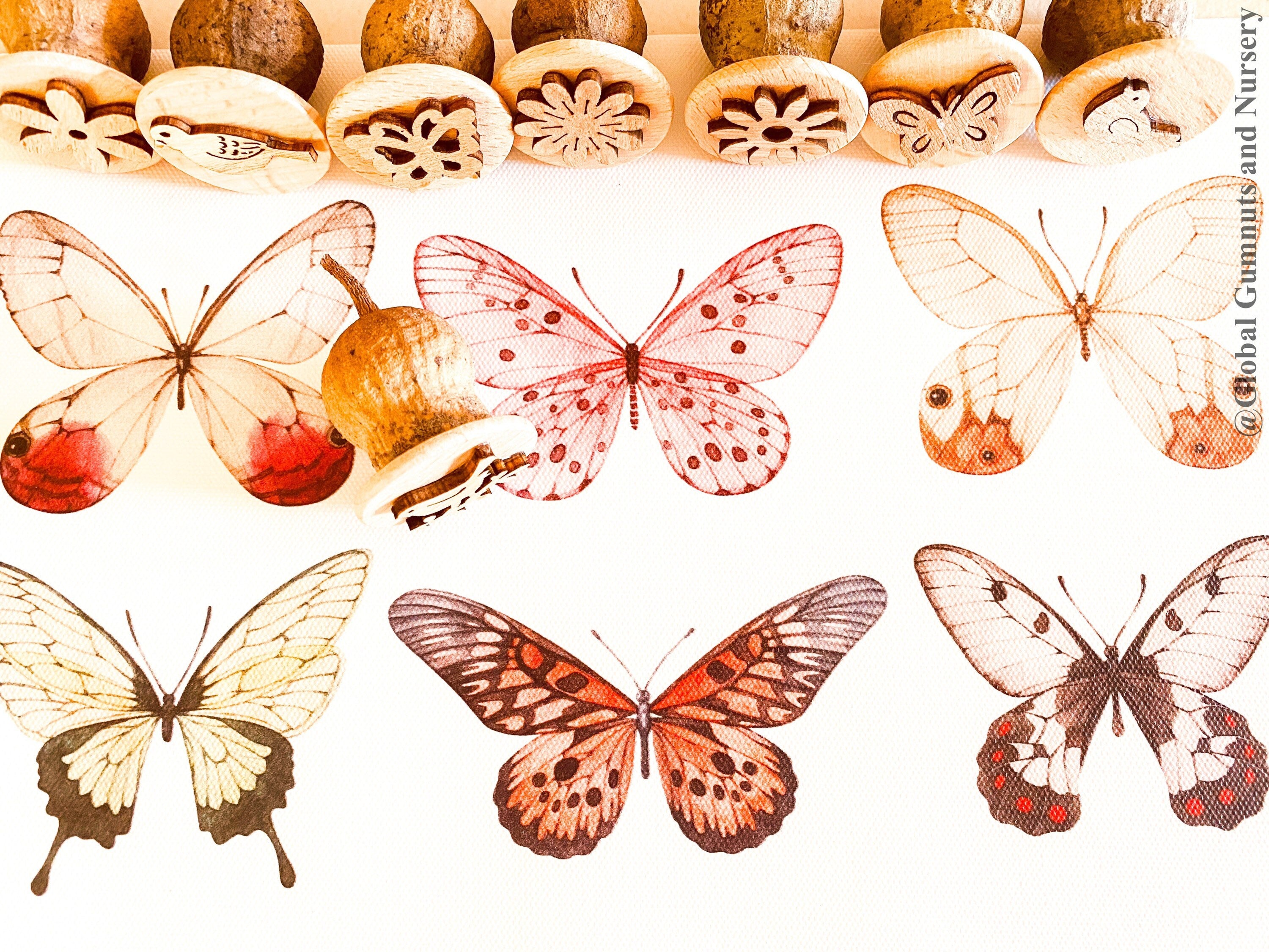 Birds, Butterflies & Flowers Stamp Set: Gumnut stamp set featuring birds, butterflies, and flowers.
