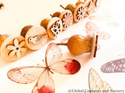 Birds, Butterflies & Flowers Stamp Set: Gumnut stamp set featuring birds, butterflies, and flowers.
