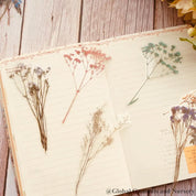 Floral scrapbooking set featuring intricate flower and sprig designs, perfect for creative journaling or crafts.