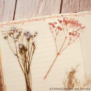 Floral scrapbooking set featuring intricate flower and sprig designs, perfect for creative journaling or crafts.