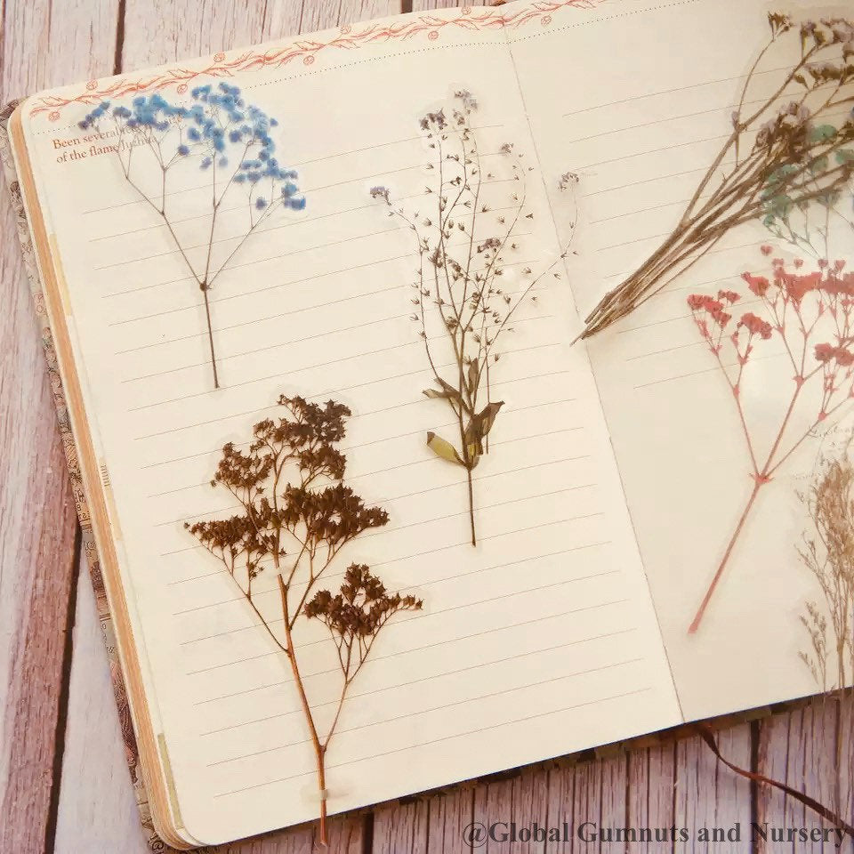 Floral scrapbooking set featuring intricate flower and sprig designs, perfect for creative journaling or crafts.